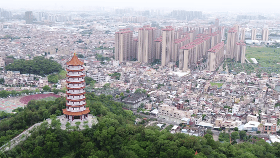 微信圖片_20200710102054